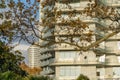 Oak branch with autumn leaves on background of facade beautiful modern building in Sochi