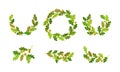 Oak Branches with Green Leaves and Acorns Arranged in Wreath and Semi Circle Vector Set Royalty Free Stock Photo