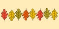 Oak colorful leaves vector collection drawn by hand for wallpaper, banners, postcards, textiles, backgrounds, stickers, wrapping Royalty Free Stock Photo