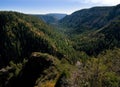 Oak Creek Canyon above Sedona, Arizona Royalty Free Stock Photo