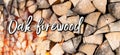 Oak firewood background with text and soft effect of fire. Alternative fuels and energy sources. Wide-angle banner