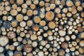 Oak firewood Cut and Stacked Royalty Free Stock Photo