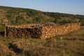 Oak firewood Cut and Stacked Royalty Free Stock Photo