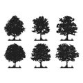 Oak Forest Clipart Tree Silhouette set Royalty Free Stock Photo