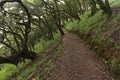 Trail in the Sierra Gorda towards the viewpoint of Cuatro Palos