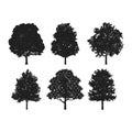 Oak forest Silhouette Cliparts set Royalty Free Stock Photo