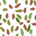 Oak green and brown leaf seamless pattern autumn background