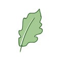 Oak Green Leaf flat icon isolated on white background. Royalty Free Stock Photo