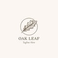 Oak Leaf Abstract Vector Sign, Symbol or Logo Template. Hand Drawn Autumn Oak Leaf Sketch Illustration in a Circle Frame Royalty Free Stock Photo