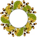 Oak leaf and acorn in color, liner, round frame 3 Royalty Free Stock Photo