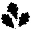 Oak leaf, acorn and branch isolated silhouette, ecology stylized Royalty Free Stock Photo