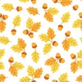 Oak leaf and acorn pattern on white background Royalty Free Stock Photo