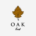 Oak leaf. Autumn vector object isolated line art icon logo minimalist vector illustration design Royalty Free Stock Photo