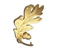 Oak leaf 3d render, on a white background Royalty Free Stock Photo