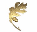 Oak leaf 3d render, on a white background Royalty Free Stock Photo