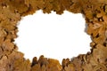 Oak leaf frame Royalty Free Stock Photo