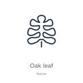 Oak leaf icon. Thin linear oak leaf outline icon isolated on white background from nature collection. Line vector sign, symbol for Royalty Free Stock Photo