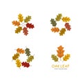 oak leaf logo Royalty Free Stock Photo