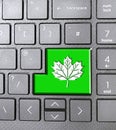 oak leaf maple tree sign icon computer communications typing keyboard keys cell phone