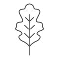 Oak leaf thin line icon, nature and botany, foliage sign, vector graphics, a linear pattern on a white background.