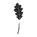 Oak leaf vector icon.Black vector icoon isolated on white background oak leaf. Royalty Free Stock Photo