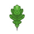 Oak Leaf vector illustration icon in polygon style Royalty Free Stock Photo