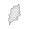 Oak Leaf vector illustration in polygonal style Royalty Free Stock Photo