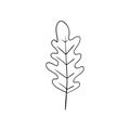 Oak leaf on white background. Outline coloring book element Royalty Free Stock Photo