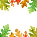 Autumn watercolor oak leaves square frame