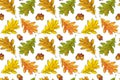 Oak leaves and acorns watercolor seamless pattern. Oak foliage in autumn colors. Royalty Free Stock Photo