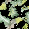 Oak leaves pattern in a watercolor style. Royalty Free Stock Photo
