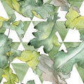 Oak leaves pattern in a watercolor style. Royalty Free Stock Photo
