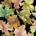 Oak leaves pattern in a watercolor style. Royalty Free Stock Photo