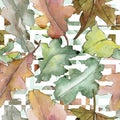 Oak leaves pattern in a watercolor style. Royalty Free Stock Photo