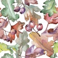 Oak leaves pattern in a watercolor style. Royalty Free Stock Photo