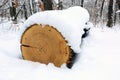 Oak log under snow Royalty Free Stock Photo