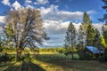 Oak Tree and abandoned loggers cabin, Lassen Peak, Lassen Volcanic National Park