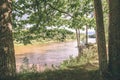 oak tree branches over summer river - vintage effect Royalty Free Stock Photo