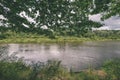oak tree branches over summer river - vintage effect Royalty Free Stock Photo