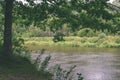 oak tree branches over summer river - vintage effect Royalty Free Stock Photo