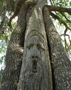 Oak Tree Carving - Suwannee River Royalty Free Stock Photo
