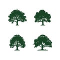 Oak Tree Clipart Silhouette Logo Royalty Free Stock Photo