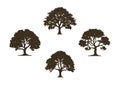 Oak Tree Clipart Silhouette set Royalty Free Stock Photo