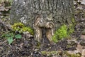 Oak tree close up with natural fairy door