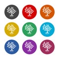 Oak tree color icon set isolated on white background Royalty Free Stock Photo