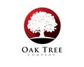 Oak tree company logo circle round Royalty Free Stock Photo