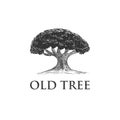 Oak Tree Concept Logo Template Royalty Free Stock Photo