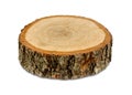 Oak tree cross section, isolated. Wooden textures. Tree trunk close-up. Royalty Free Stock Photo