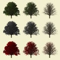 Oak tree 3d rendering isolated for landscape designer.