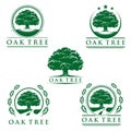 Oak tree eco green logo, logo design